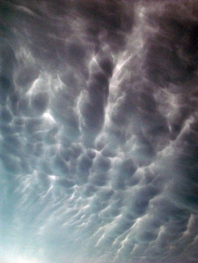 Image Concealment Films - MH Studios